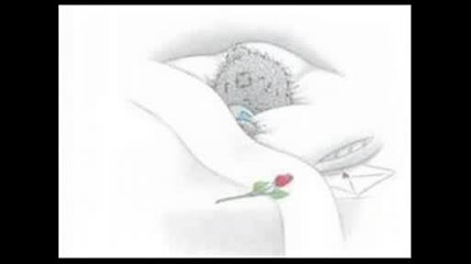 stefani - sled teb