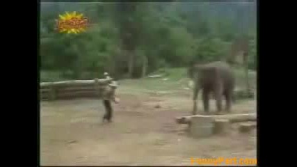 Футбол С Слонове 