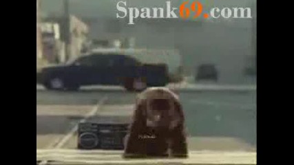 Watch Pitbull Feat. Lil Jon - The Anthem Spank69 youtube free