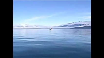 Blue Tears - Misty Blue 