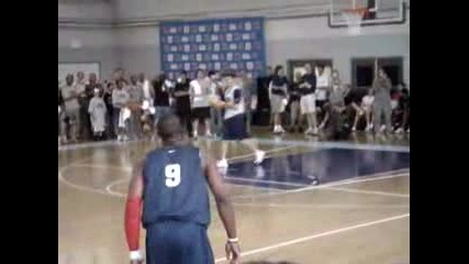 Team Usa Dunks