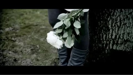 baracuda - where is the love 