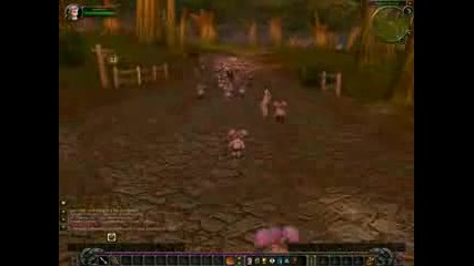 Gnome Invasion