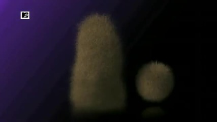 Mtv Commercial - Mister Furry
