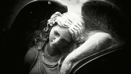 Tempestuous Fall - The Stars Would Not Awake You