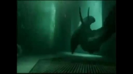 Alien Vs Predator (rammstein - Zwitter)