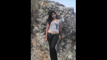 daritoo 