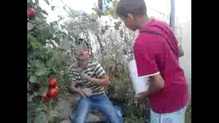 sme6ki
