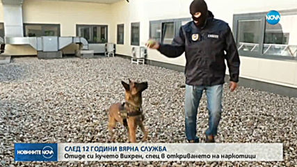 СЛЕД 12 ГОДИНИ ВЯРНА СЛУЖБА: Отиде си кучето Вихрен, спец в откриването на наркотици