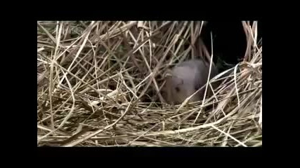 Планетата Земя - част 4 