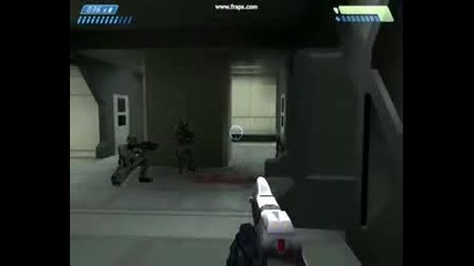 Halo