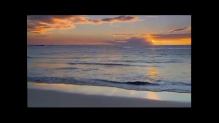 Chris Rea — All Summer Long (shamrock Diaries)