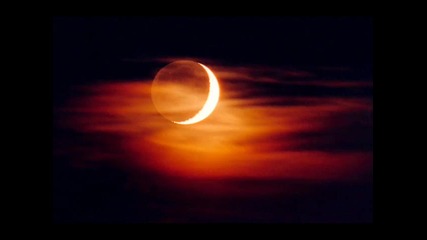 Moonlight Reggae - Ocarina