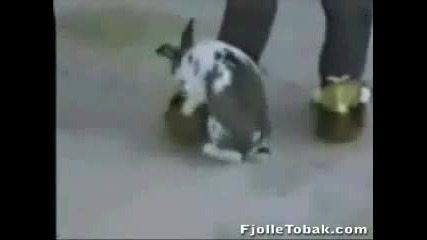 вижотинско порно 