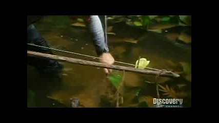 Ultimate Survival / Оцеляване на предела с Bear Grylls, Man vs. Wild, Сезон 3, Еп. 7, Bear eats [2]