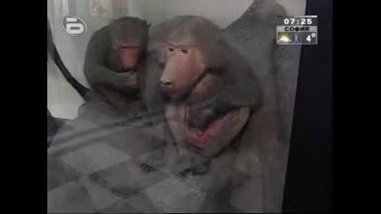 Български учен намери непознати животни !!! 