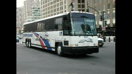 Greyhound Bus