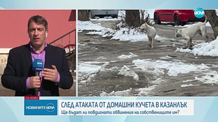 Сериозно остава състоянието на жена, нахапана от избягали домашни кучета