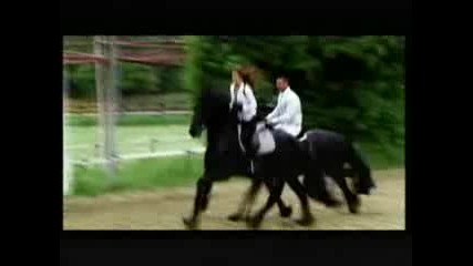 Survivor - Видео Визитката На Яна Маринова
