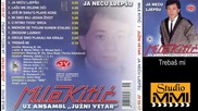 Mile Kitic i Juzni Vetar - Trebas mi (Audio 1985)