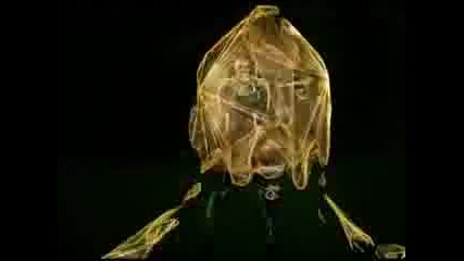 Black Eyed Peas - Boom Boom Pow 