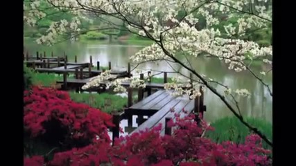 Japan Kertek