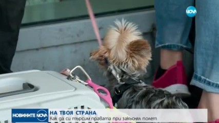 Как да си търсим правата при закъснял полет?