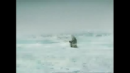 За риба на полюсите - смях