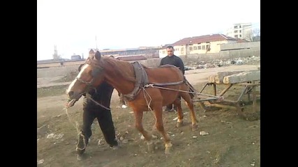 konq na isin samokov