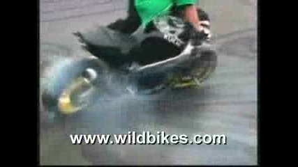 Wild Bikes 