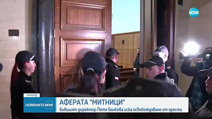 Пуснаха под гаранция бившата шефка на Агенция "Митници"