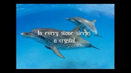 Enigma - The Dream Of The Dolphin