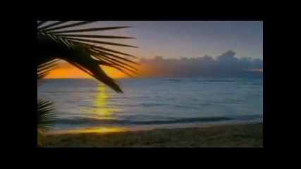 Chris Rea — All Summer Long (shamrock Diaries) = 26.07.
