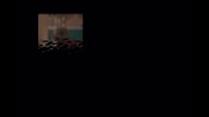 cole and dylan
