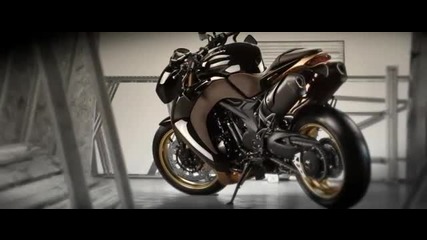 • Vilner направи Bulldog от Speed Triple за руски клиент •