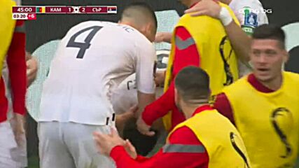 Камерун - Сърбия 3:3 /репортаж/