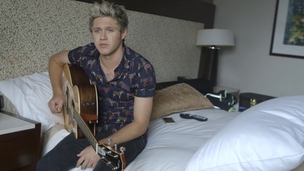 One Direction - Made in the A.m. - Niall (2)