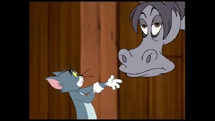 Tom And Jerry - Tomcat Superstar 