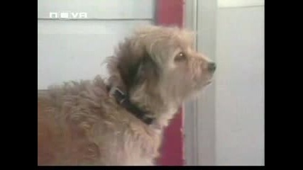 Бенджи, Закс и Звездният принц - Епизод 9 