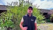 Пет пиленца от застрашен вид хищна птица се излюпиха в британски зоопарк
