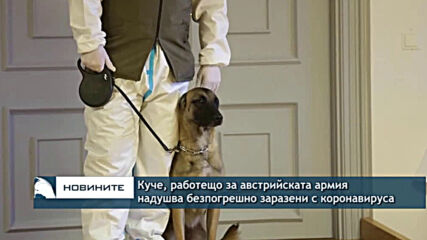 Куче, работещо за австрийската армия надушва безпогрешно заразени с коронавируса