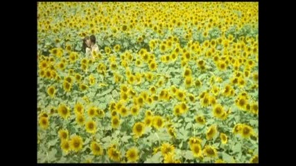 Hayley Westenra - Summer Rain