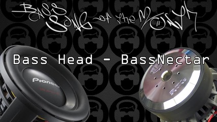Bass Head - Bassnectar Песен специална за Бас Маняци 