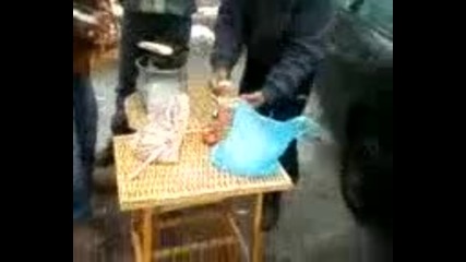 Болярци