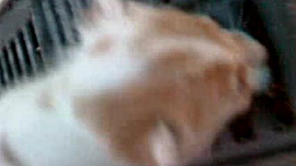 16-05-09_2001.3gp