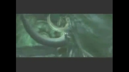 The Warcraft Saga