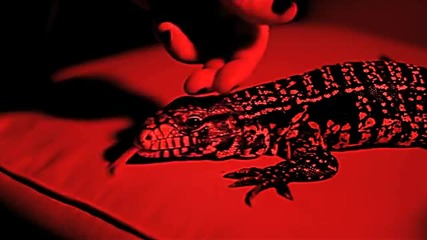 Kita - Twisted Complicated World