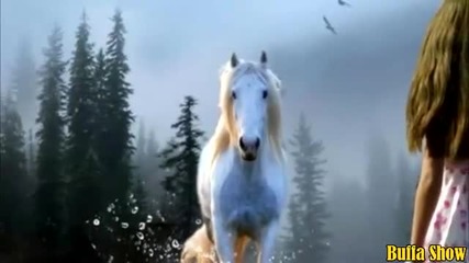 Richard Clayderman - La Force de L Amour
