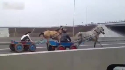 Луда гонка с коне на автомагистрала-румъния