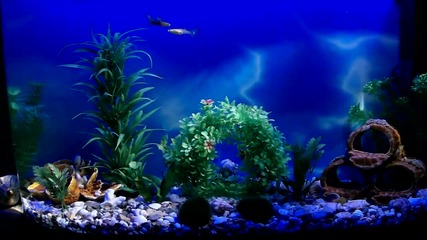 Ново !!!! Уникално осветление за аквариум.